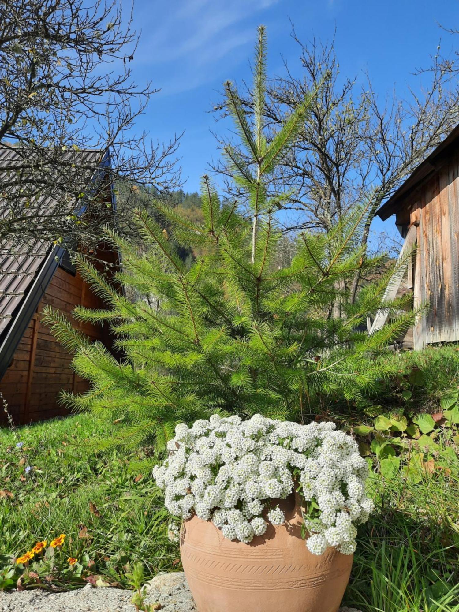 Zaovine Vikendica Neven 빌라 외부 사진
